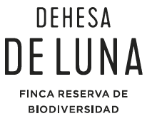 DEHESA DE LUNA Logo